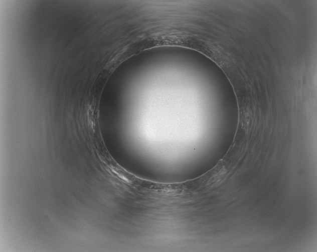 X0000071331010200607071626