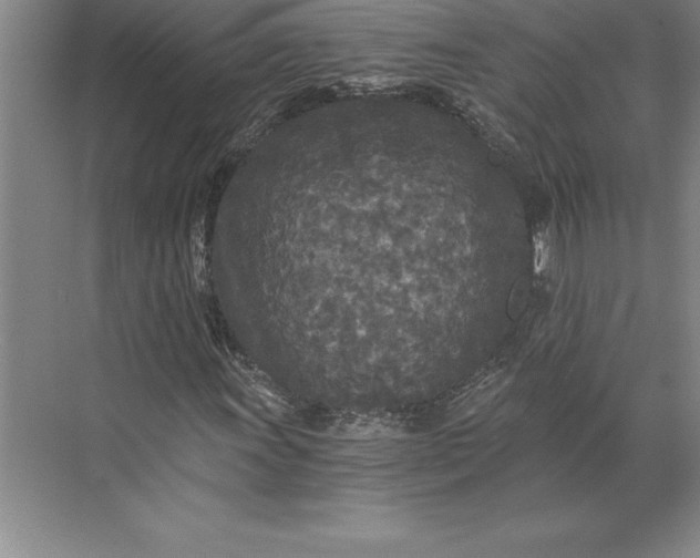 X0000071331011200607071626