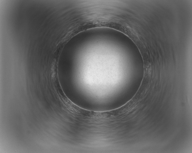 X0000071331012200607071626