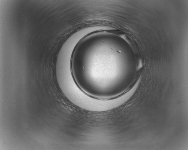 X0000071331014200607071626