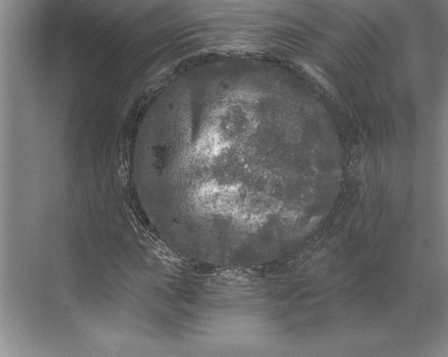 X0000071331015200607071626