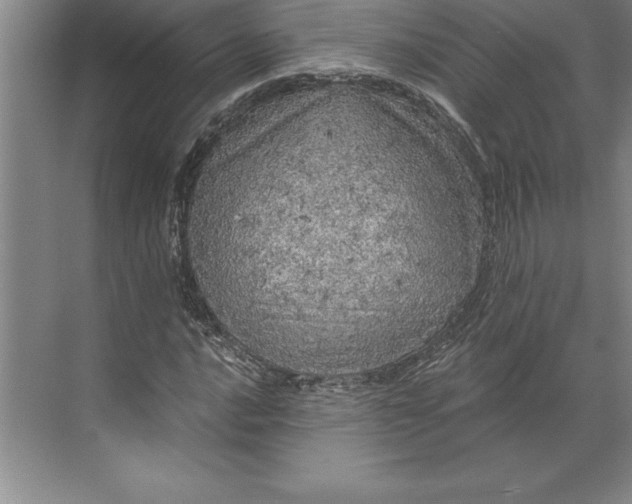 X0000071331016200607071627