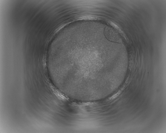 X0000071331017200607071627