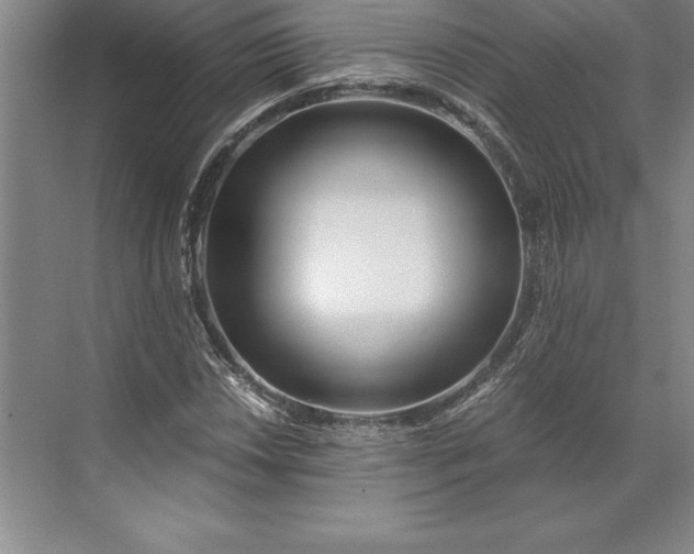 X0000071331018200607071627