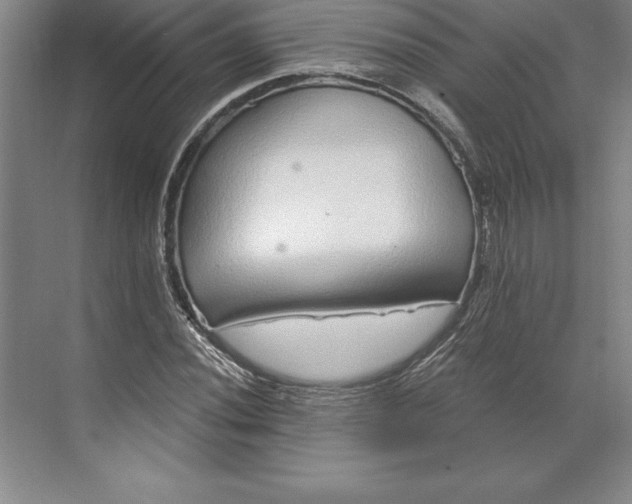 X0000071331020200607071627