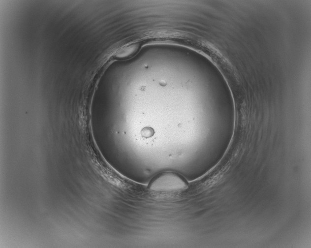 X0000071331025200607071627