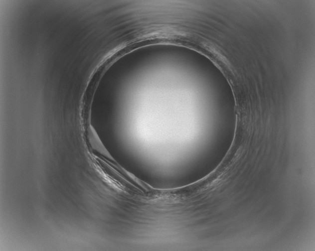 X0000071331026200607071627