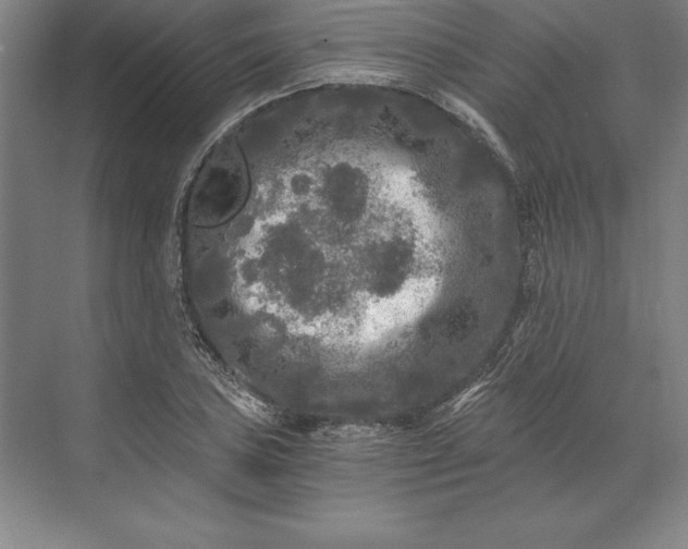 X0000071331027200607071627