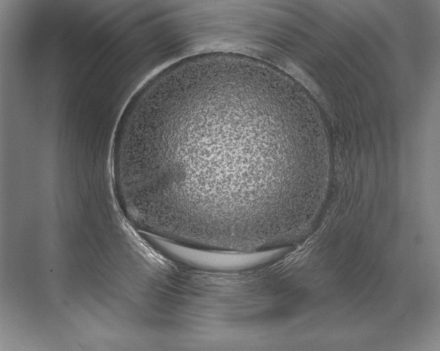 X0000071331028200607071627