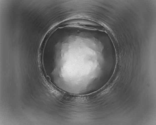 X0000071331029200607071627