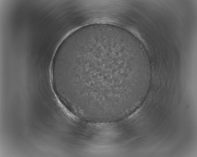 X0000071331032200607071627