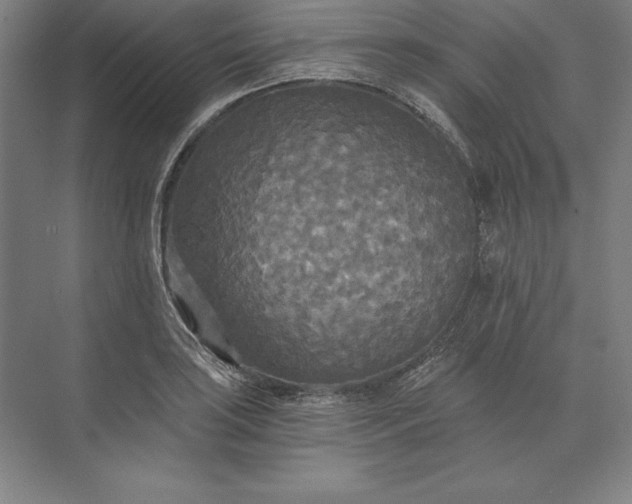 X0000071331035200607071627