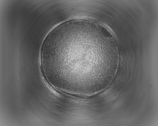 X0000071331036200607071627