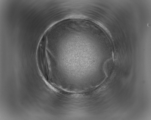 X0000071331037200607071627