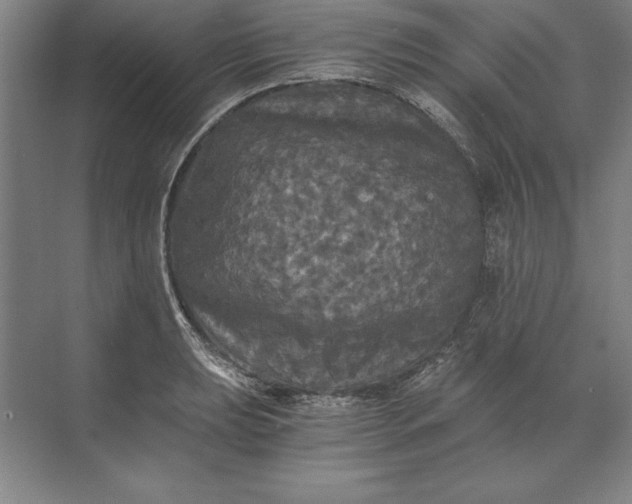 X0000071331039200607071627