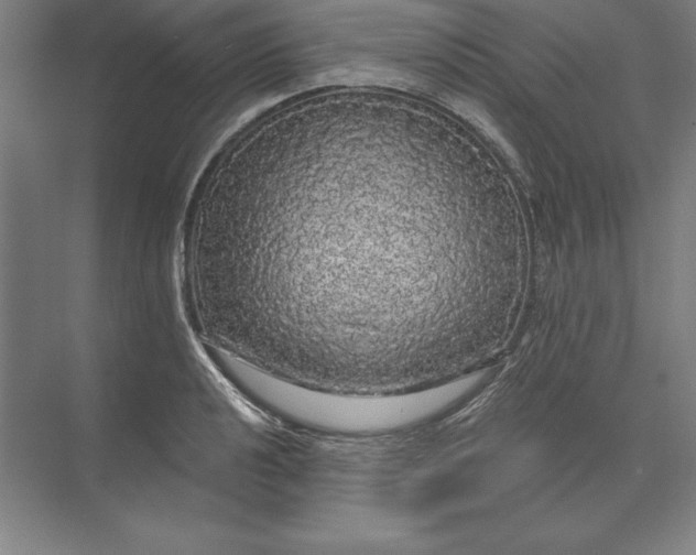 X0000071331040200607071627