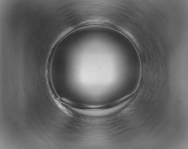 X0000071331042200607071627