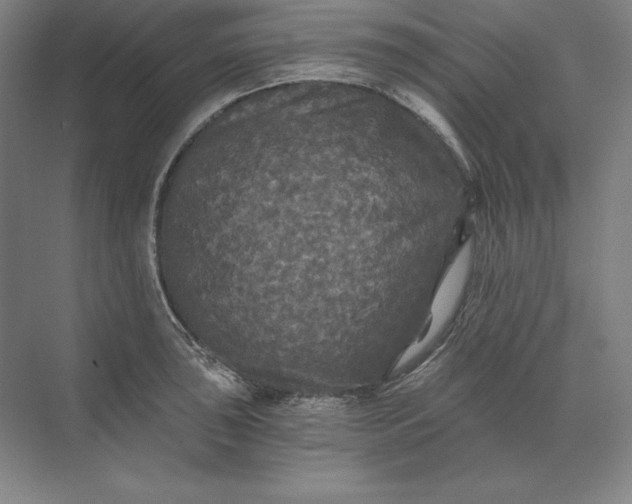 X0000071331043200607071627