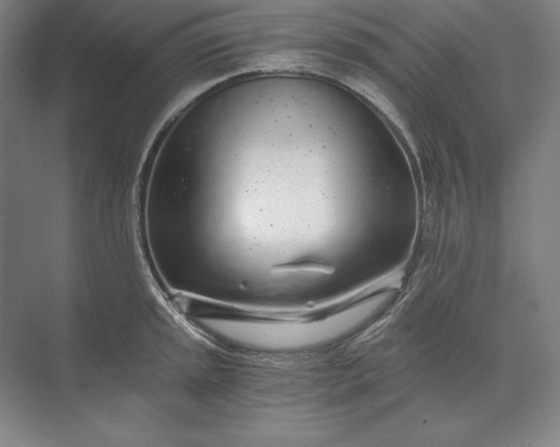 X0000071331045200607071627