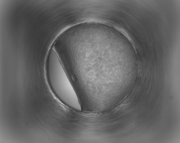 X0000071331048200607071627