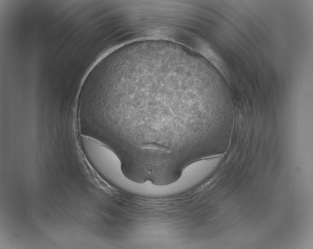 X0000071331052200607071627