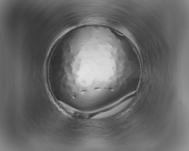 X0000071331053200607071627