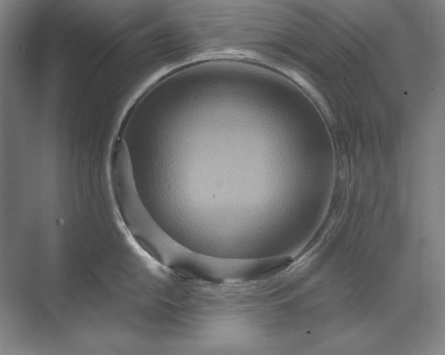 X0000071331054200607071627