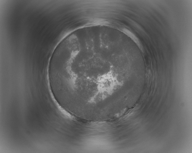 X0000071331055200607071627