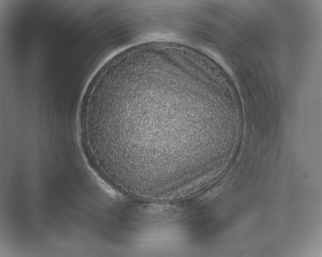 X0000071331056200607071627