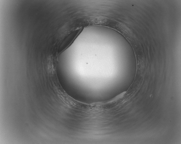 X0000071331058200607071626