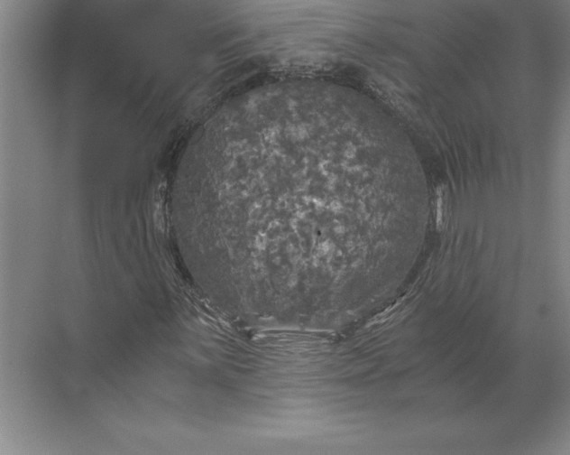 X0000071331059200607071626