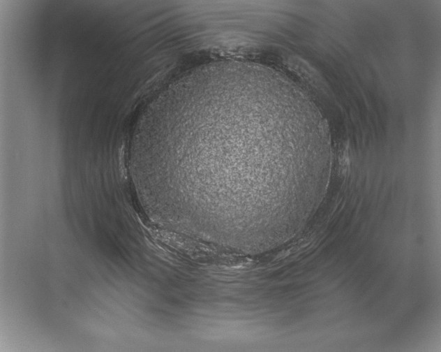 X0000071331060200607071626