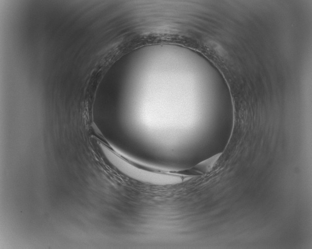 X0000071331062200607071626