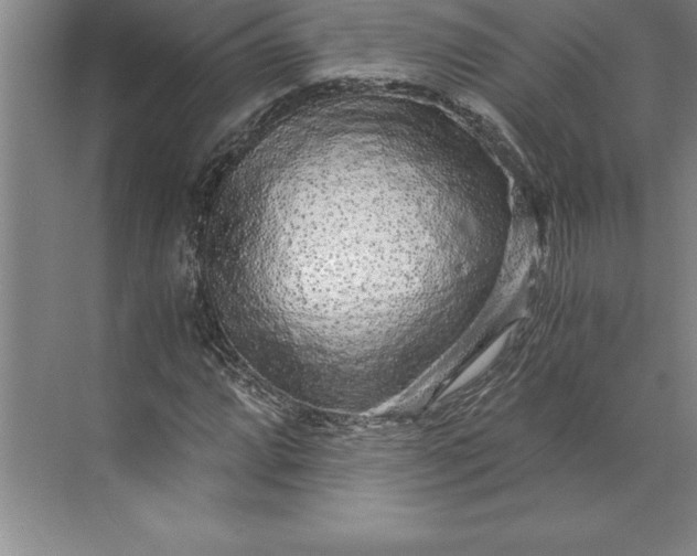 X0000071331064200607071626