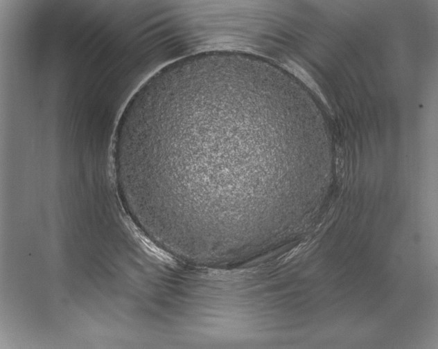 X0000071331068200607071626