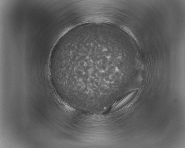 X0000071331071200607071626