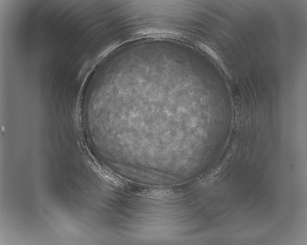 X0000071331074200607071626