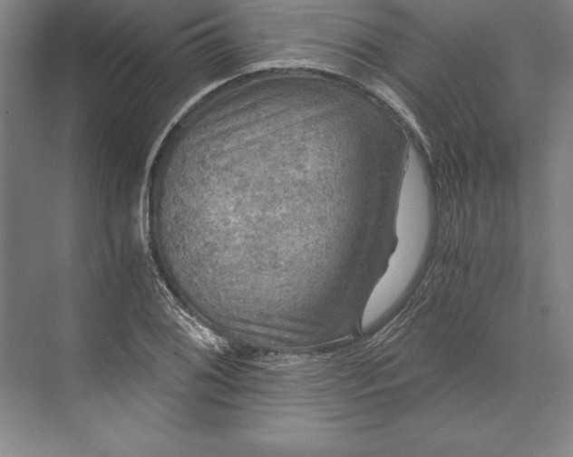 X0000071331076200607071626