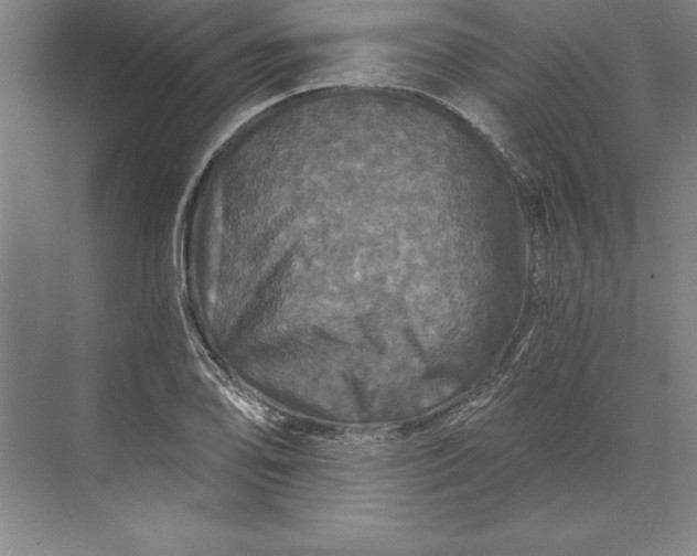 X0000071331078200607071626