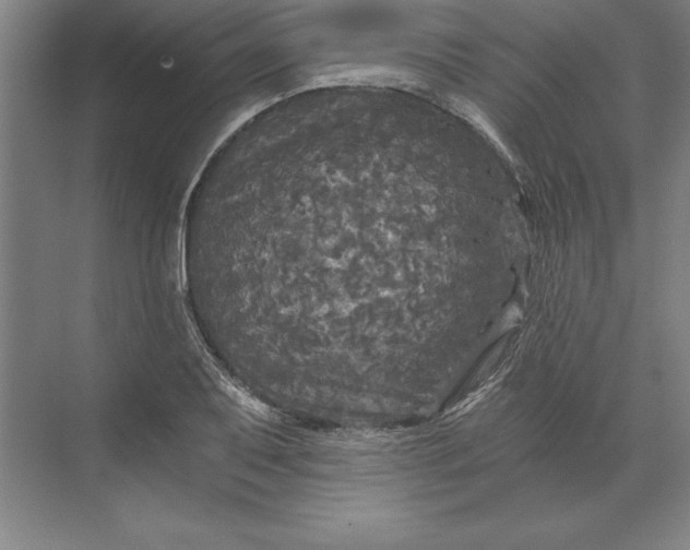 X0000071331079200607071626