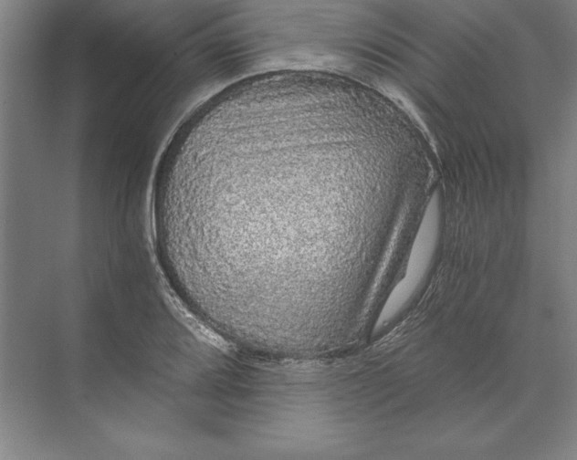 X0000071331080200607071626