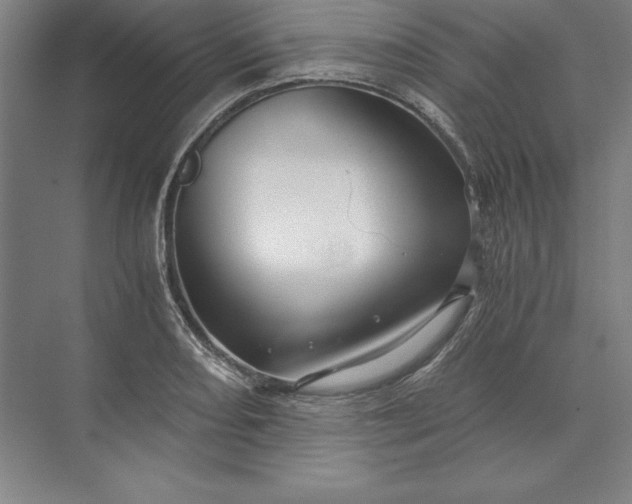 X0000071331082200607071626