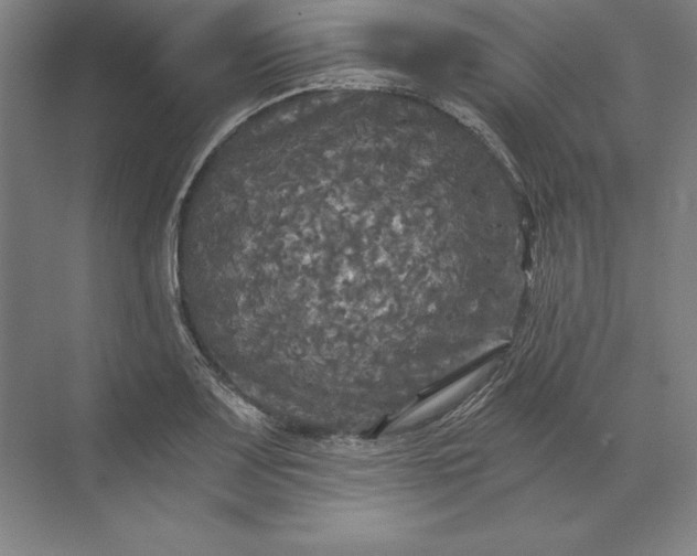 X0000071331083200607071626