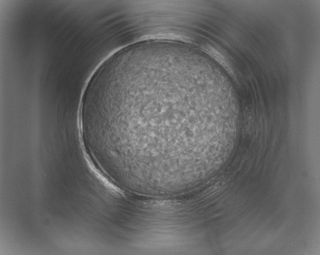 X0000071331084200607071626