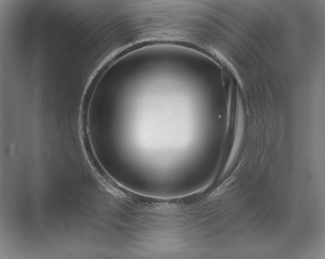 X0000071331085200607071626