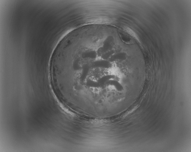 X0000071331087200607071626