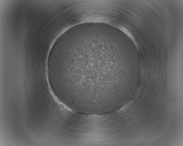 X0000071331088200607071626