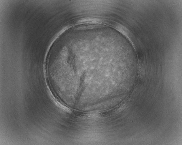 X0000071331090200607071626