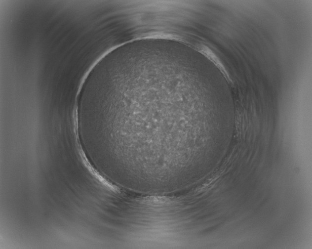 X0000071331092200607071626