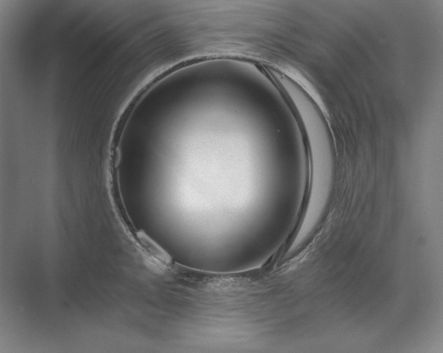 X0000071331093200607071626